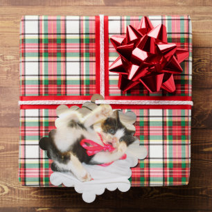 Carte Décorative Texte de photo de chaton, étiquette cadeau, flocon