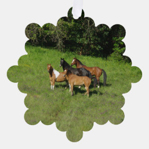 Carte Décorative Troupeau de Cheval sauvage