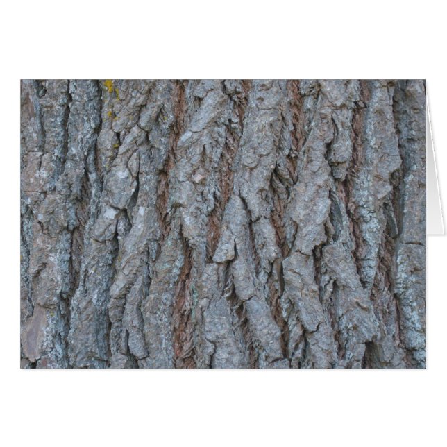 Carte d'écorce d'arbre (Devant horizontal)