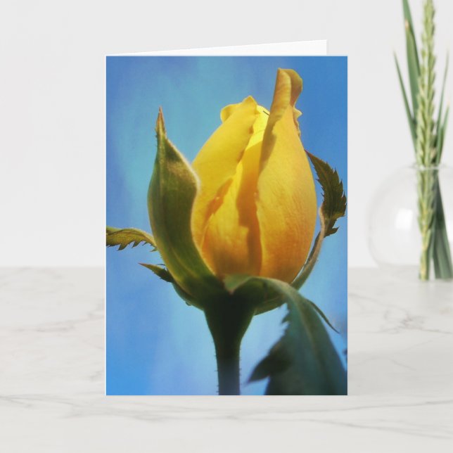 Carte d'écriture rose jaune Lamentations 3:22-23 (Devant)