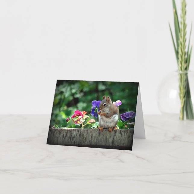 Carte d'écureuil (Devant)