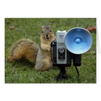 carte d'écureuil grande