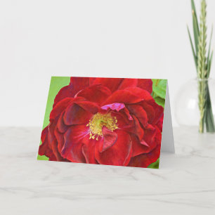 Carte Deep Red Rose Art