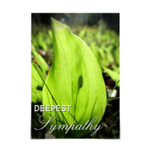 Carte "Deepest Sympathy" Moss et Dogwood