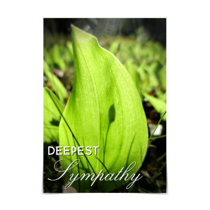 Carte "Deepest Sympathy" Moss et Dogwood