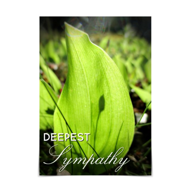 Carte "Deepest Sympathy" Moss et Dogwood (Créateur téléchargé)