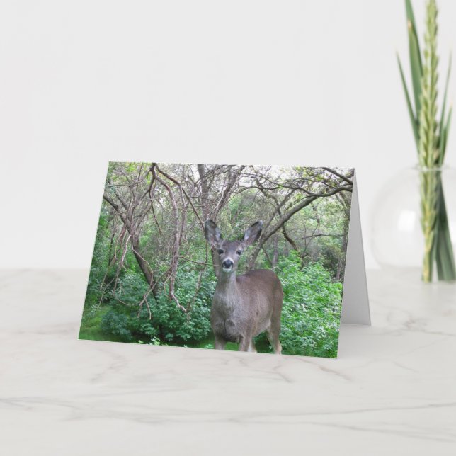 Carte Deer in Woods Get Well Bientôt (Devant)