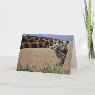 Carte Déjeuner pour un