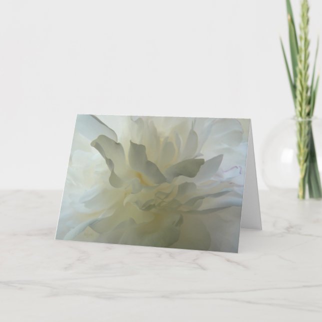 Carte Délice sensuel AH2010 (Devant)