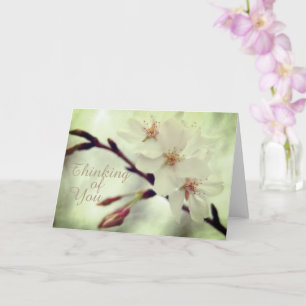 Carte Delicy Cherry Blossoms