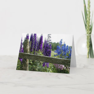 Carte Delphiniums