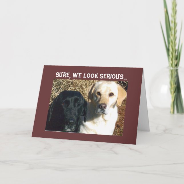 CARTE DEMANDEZ BIENTÔT DES TRAITÉS BIEN SOUHAITÉS (Devant)