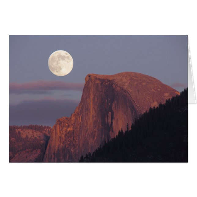 Carte demi-dôme Pleine lune (Devant horizontal)