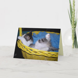 carte d'encouragement