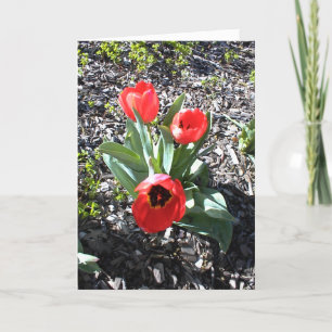 Carte d'encouragement inspirationnelle pour les fê