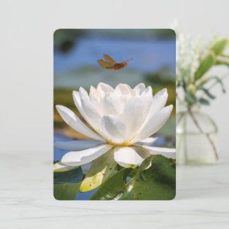 Carte d'encouragement : Pas de boue, pas de lotus