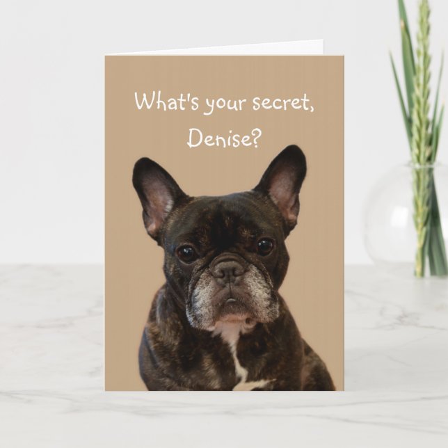 Carte Denise French Bulldog Joyeux anniversaire (Devant)