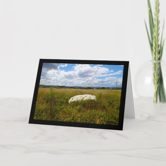 Carte Dentelle sauvage dans la prairie (Devant)
