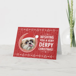 Carte Derpy shih tzu dog Christmas card