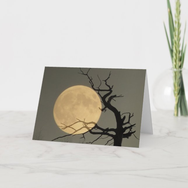 Carte Derrière (Devant)