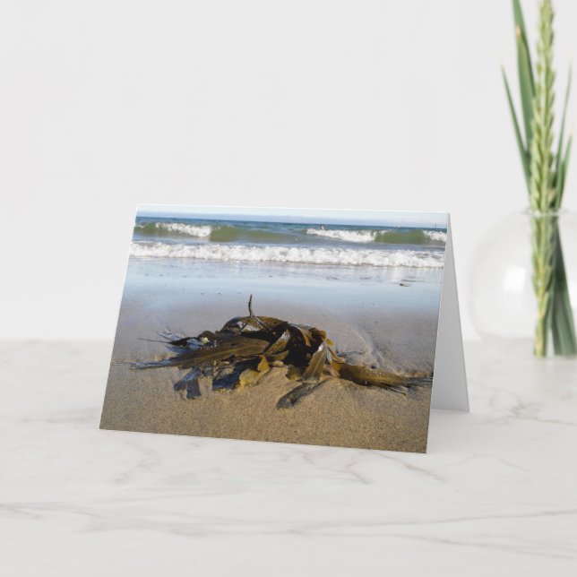 Carte Des algues ! (Devant)