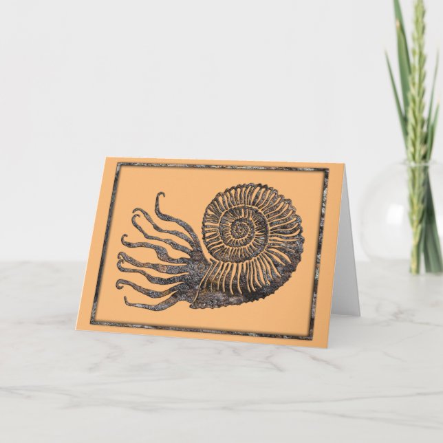 Carte des canyons parlants fossiles d'ammonite, No (Devant)