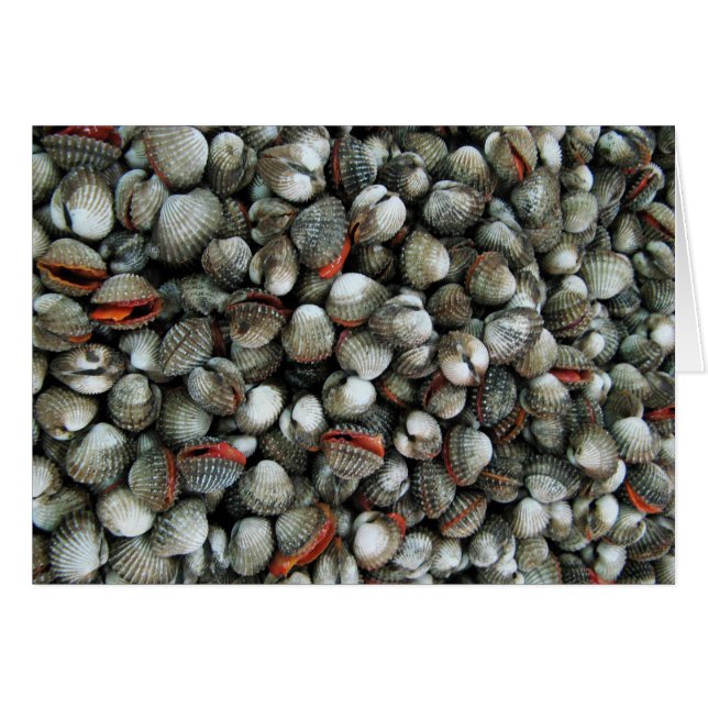 Carte des coquilles de sang (Devant horizontal)