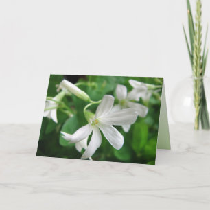 Carte des fleurs Shamrocks de la Saint-Patrick