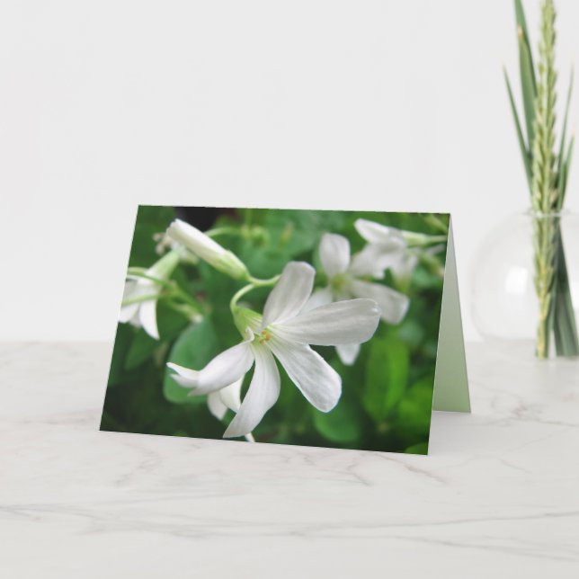 Carte des fleurs Shamrocks de la Saint-Patrick (Devant)