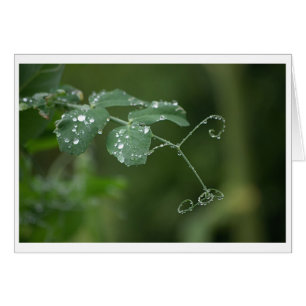 Carte des larmes de pois verts