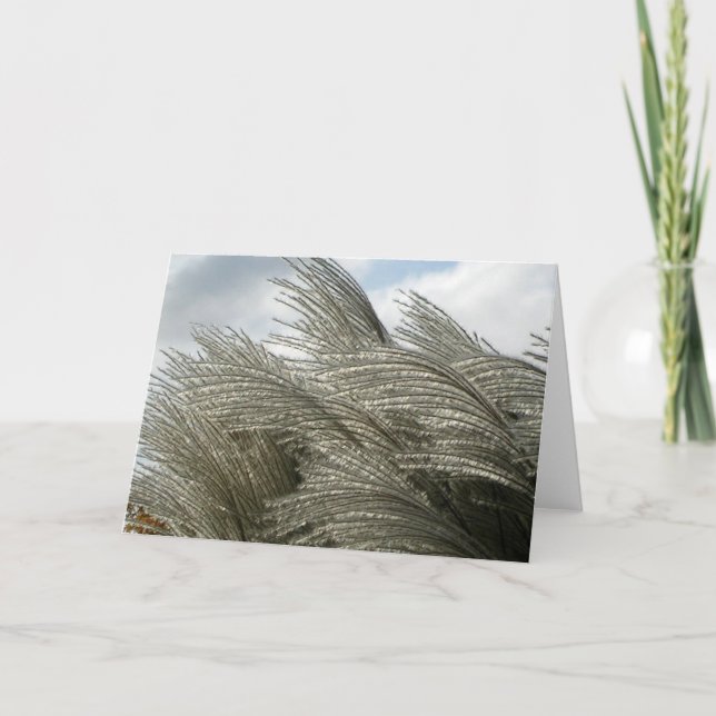 Carte des motifs de la nature (Devant)