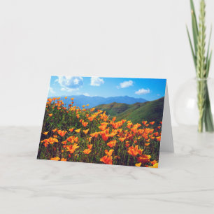 Carte Des pavots de Californie recouvrent une colline