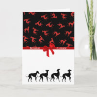 Carte des Petits Lévriers Italiens