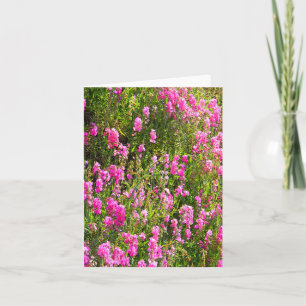 Carte Des pois doux sur la colline...