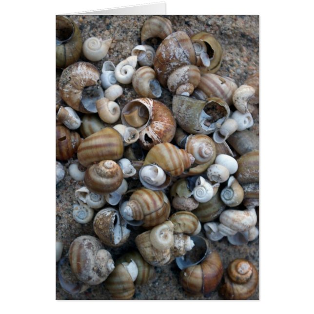 Carte des Shore Shore Lake (Devant)