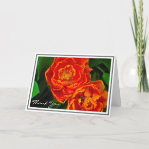 Carte Des Tulipes Orange Lumineuses Contre Le Foliage Ve