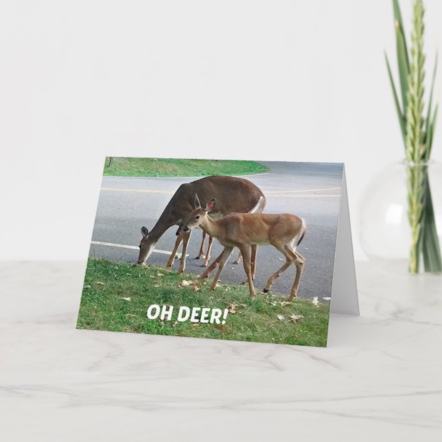 Carte Des voeux d'anniversaire tardives et humoristiques (Devant)