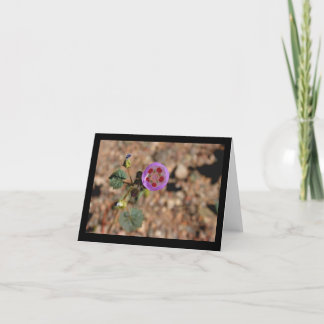 Carte Desert Five Spot Note Card