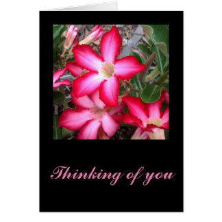 Carte Desert Rosereeting