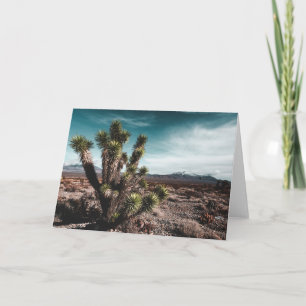 Carte Deserts Cholla