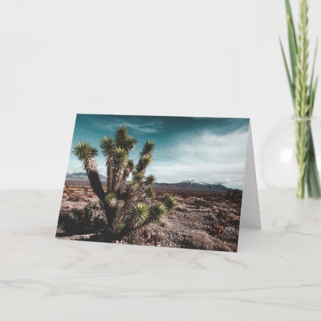 Carte Deserts | Cholla (Devant)