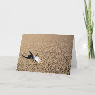 Carte Deserts   Cow Skull on the Desert Ground