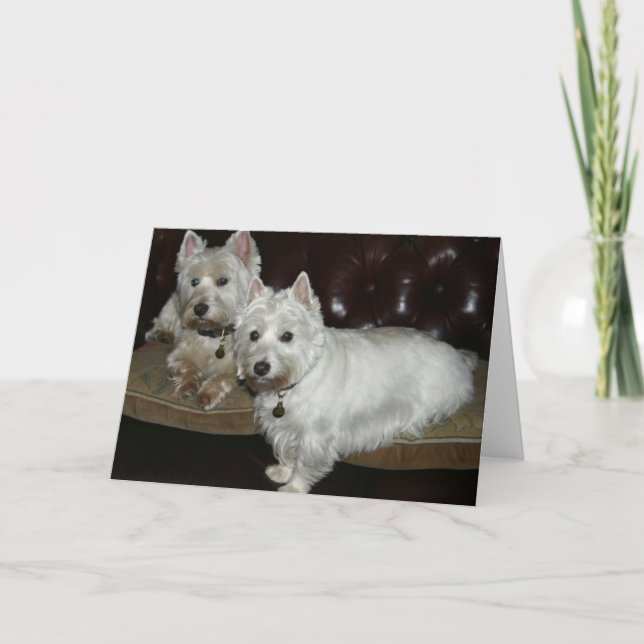 Carte Desi et Lucy (Devant)