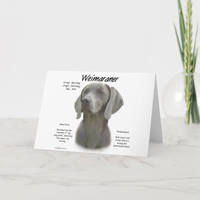 Carte Design historique Weimaraner (Devant)