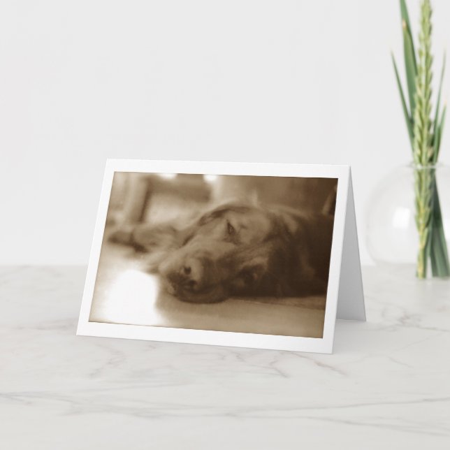 Carte désolé (Devant)