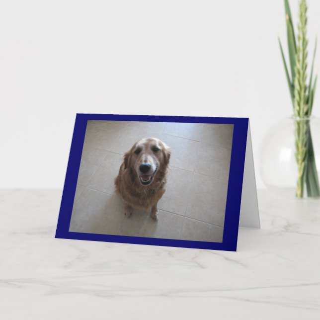 Carte Désolé ! (Devant)