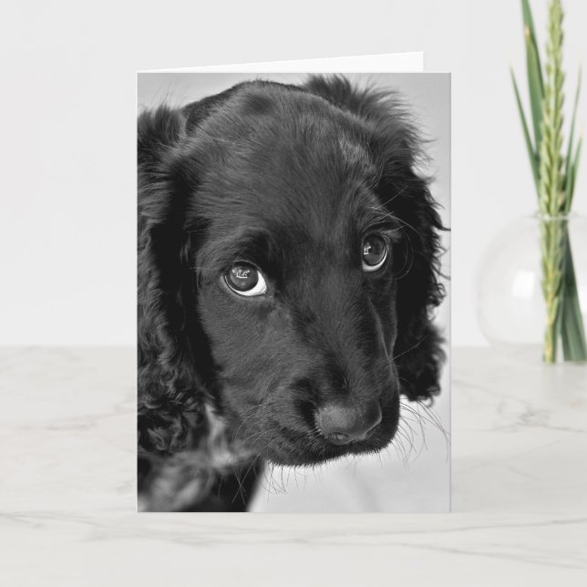 Carte Désolé (Devant)