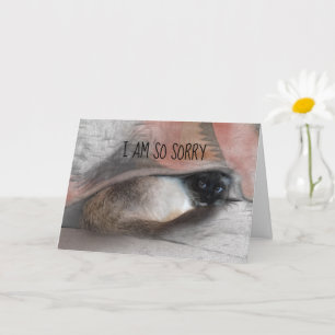 Carte Désolé avec retard chat siamois remplaçable photo