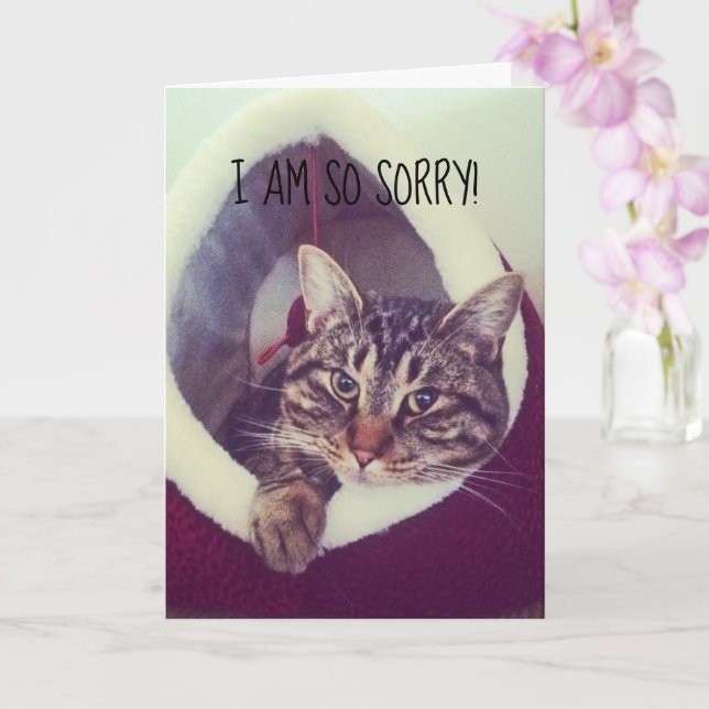 Carte Désolé avec retard Photo de remplacement de chaton (Orchidée)