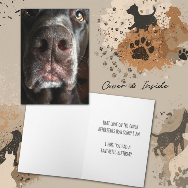Carte Désolé Chocolate Lab Snout Anniversaire tardif (Chocolate Lab close-up snout photograph cover and inside template text greeting card)